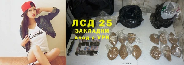 крисы Баксан