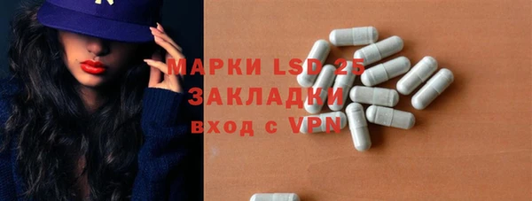крисы Баксан