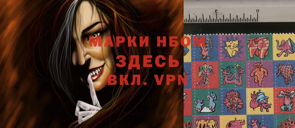 крисы Баксан