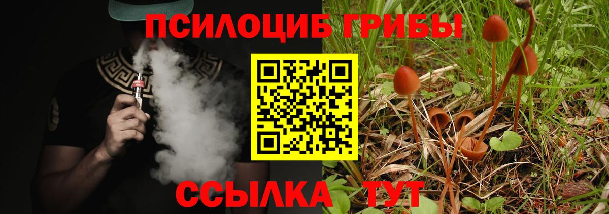 Псилоцибиновые грибы Cubensis  Вход с VPN  Ессентуки 