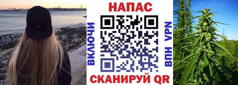 Бошки Шишки OG Kush  где продают   hydra зеркало  Ессентуки 